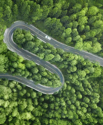 email marketing automation